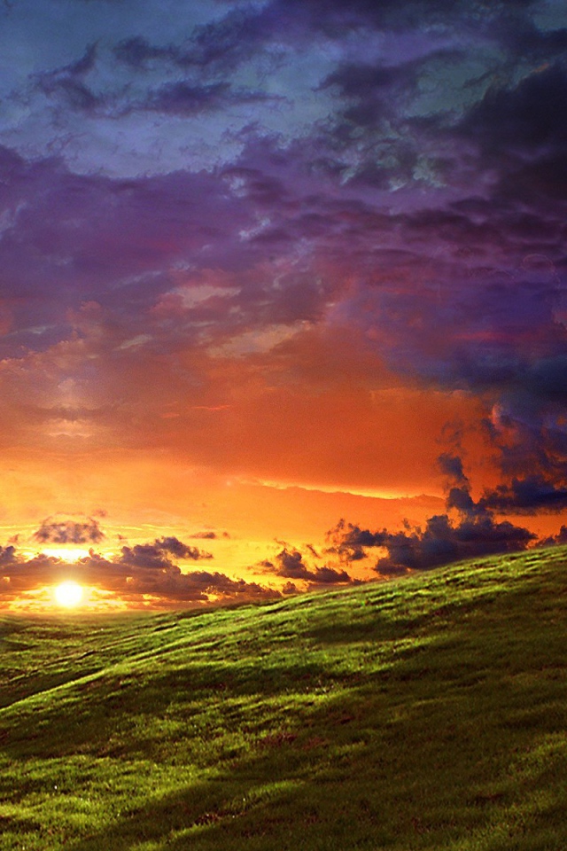 Круглые кроны деревьев на вершинах холмов