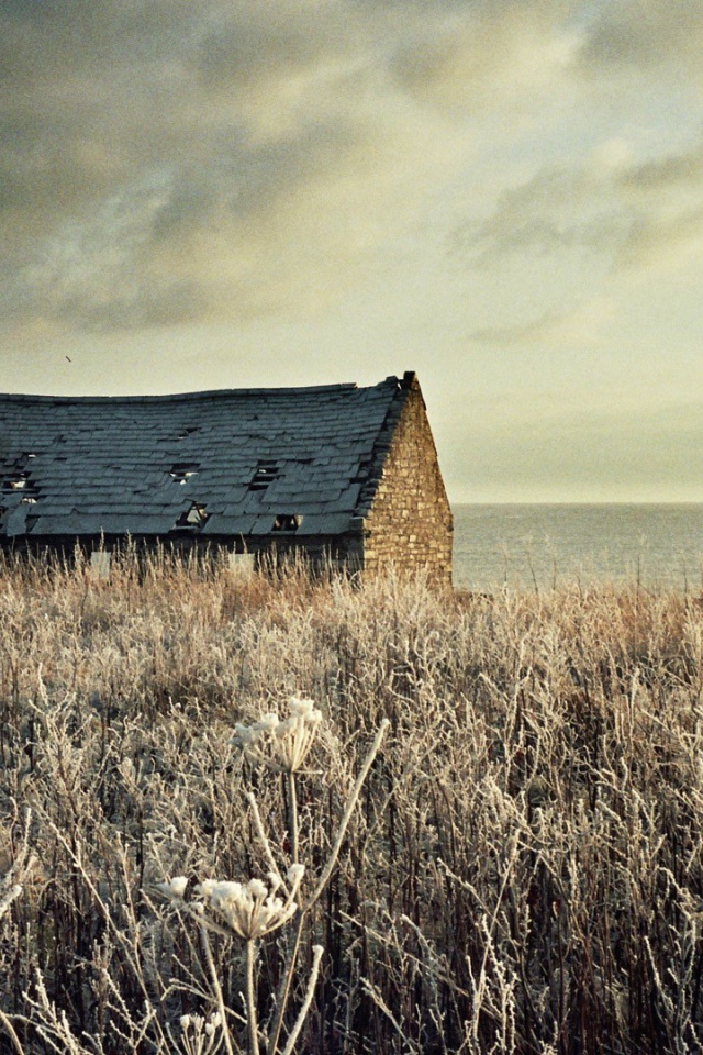 Разрушенный дом на засохшем поле