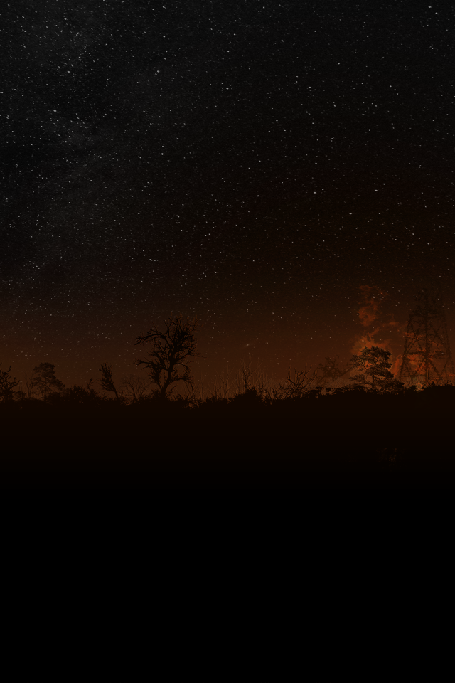 Силуэты на фоне заката и звездного неба