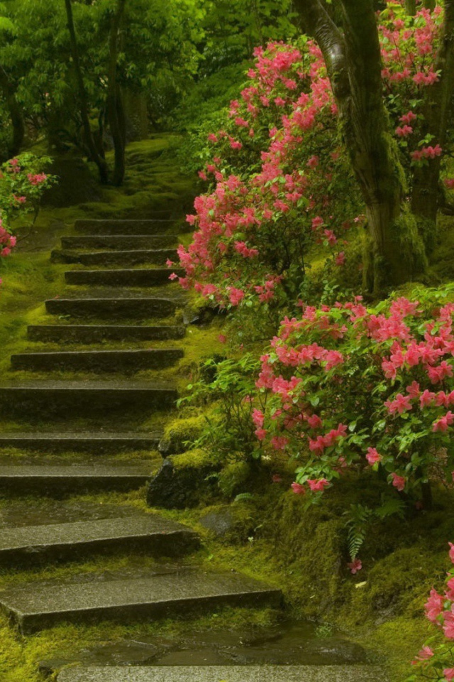 Каменная лестница в цветущем саду