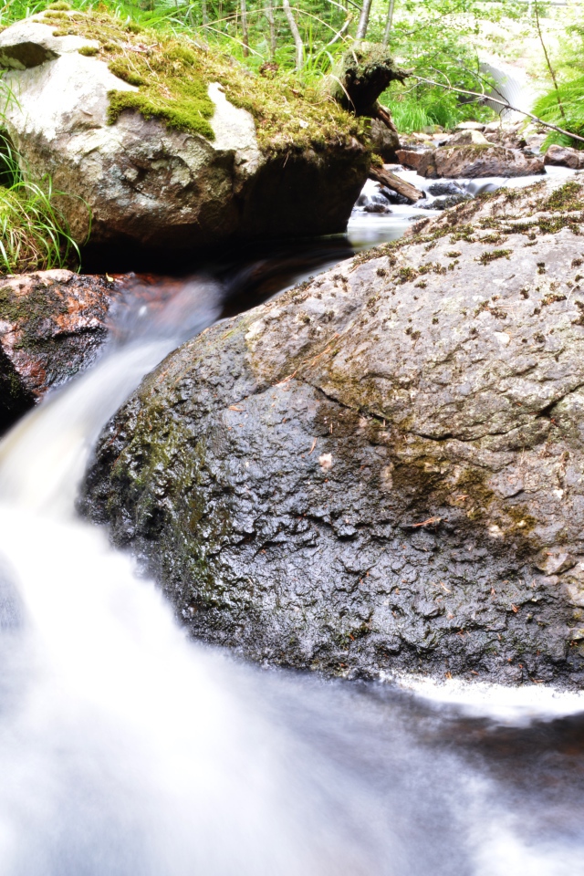 Ручей среди покрытых мхом камней