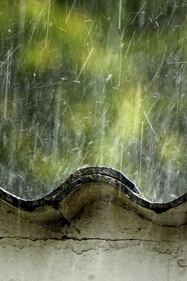 Летний дождь бьет по крыше