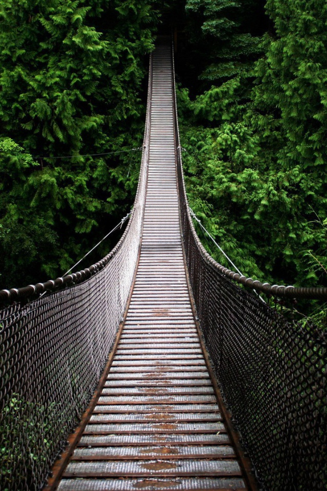 Подвесной мост на канатах