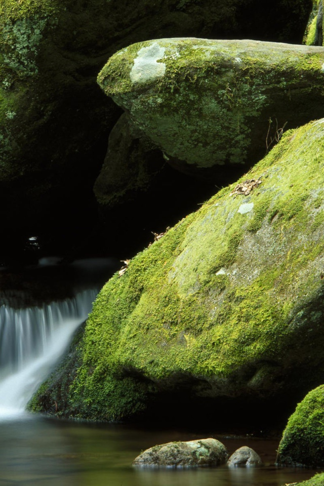 Поток воды среди покрытых мхом камней
