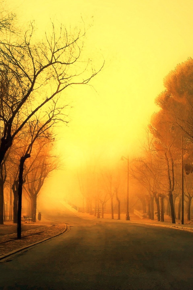 Дорога уходит в оранжевую дымку