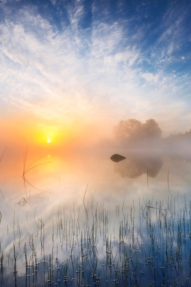 Желтое солнце в утреннем тумане