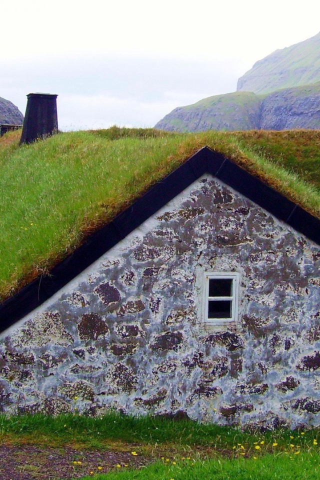 Густая трава на крыше сарая