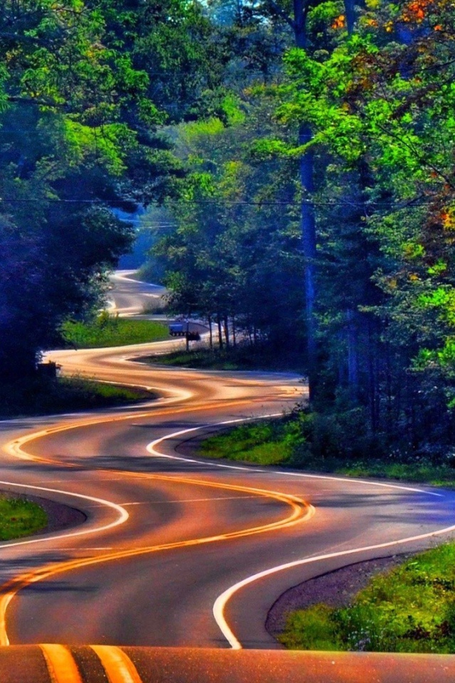 Извилистое шоссе среди леса