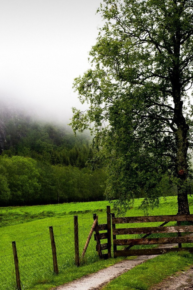 Деревянная преграда на тропе