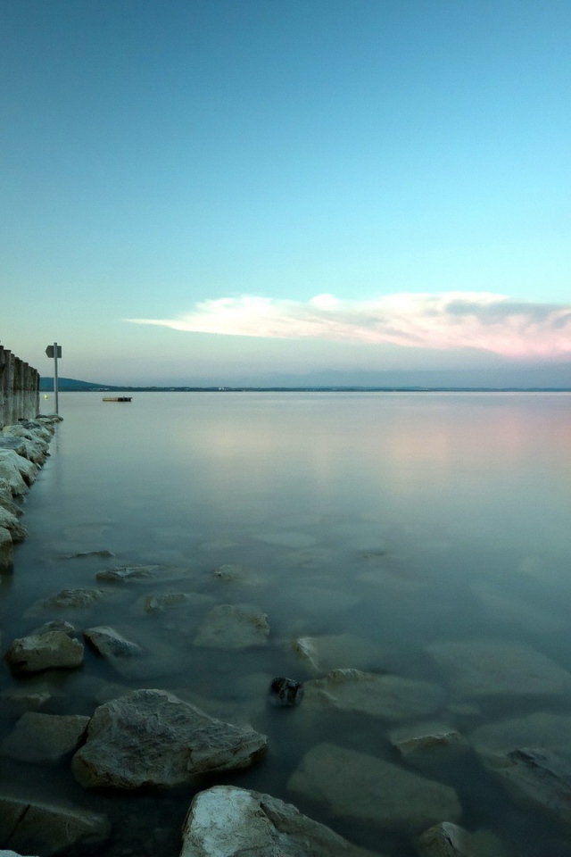 Деревянные сваи от пирса