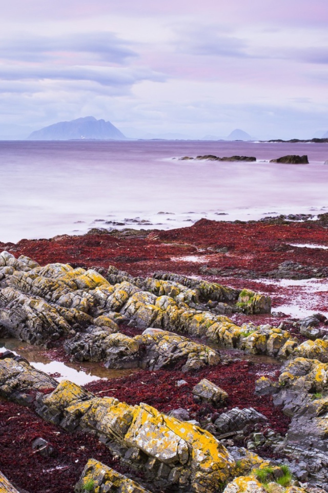 Желтые камни на берегу моря