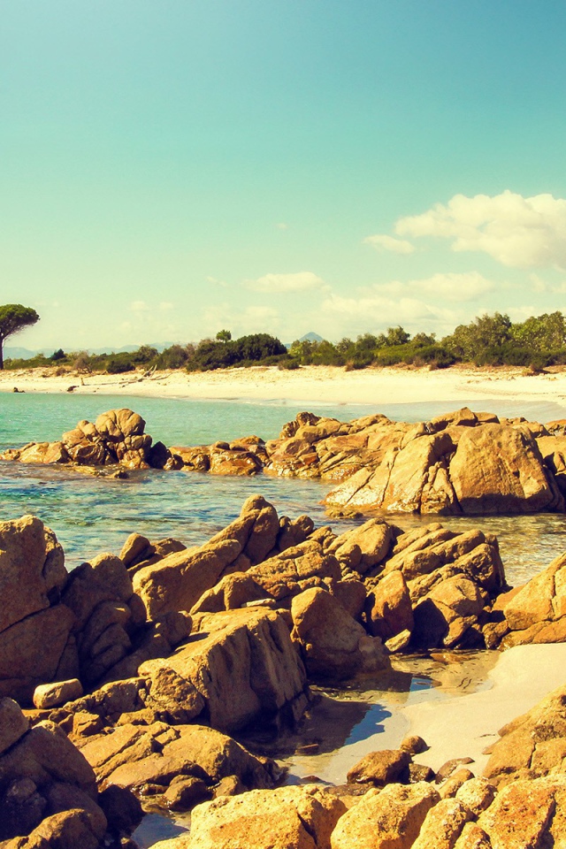 Коричневые камни и скалы на берегу моря