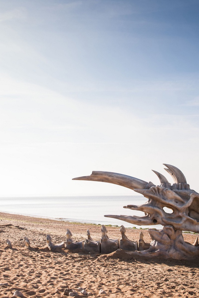 Череп дракона на пляже