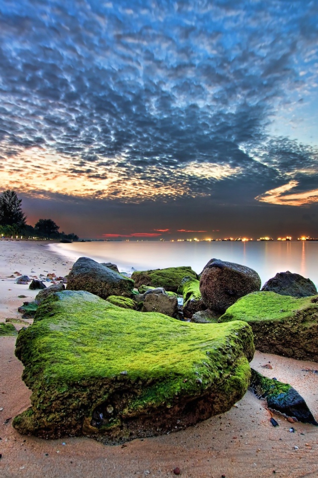 Зеленые камни на песке пляжа