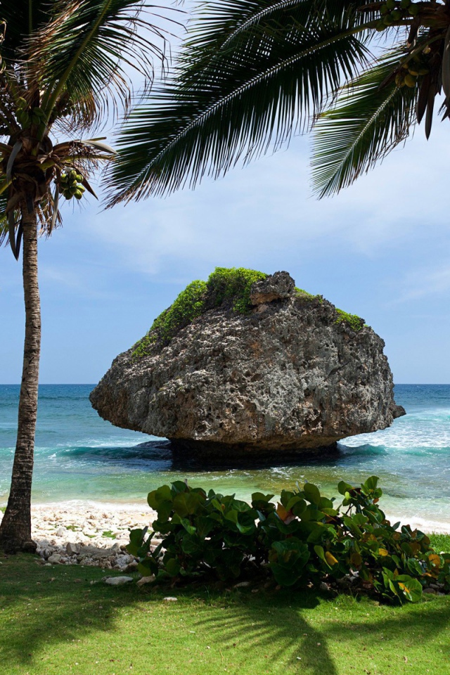 Пальмы на фоне большого камня у берега