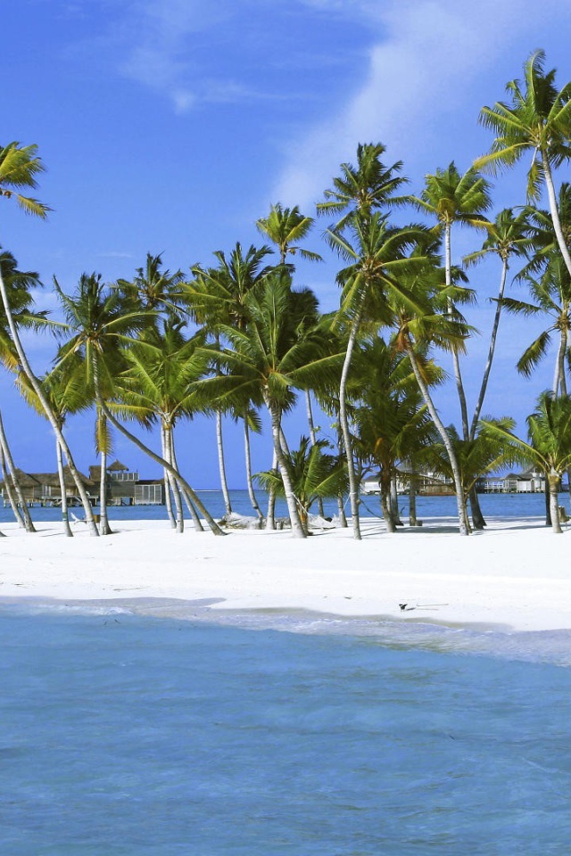 Пальмы на белоснежном песке
