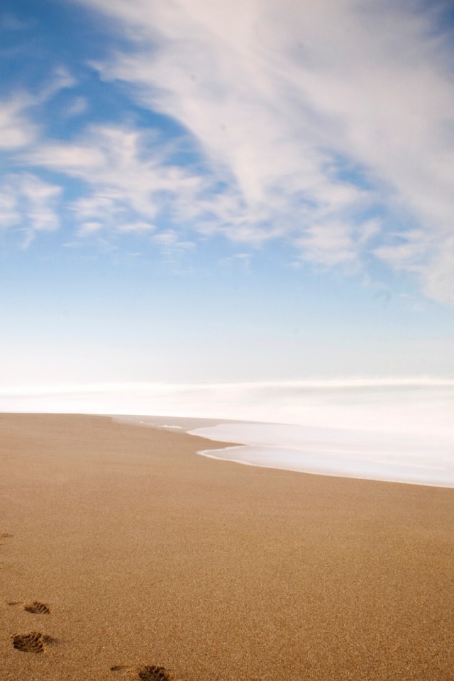 Ряд следов петляет по песку пляжа