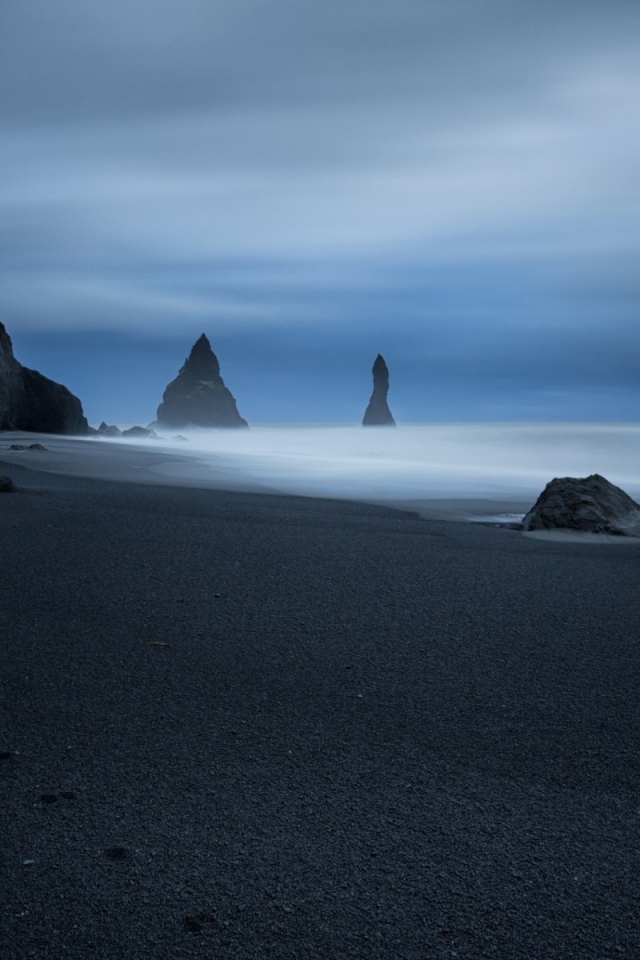 Следы животного на черном песке пляжа