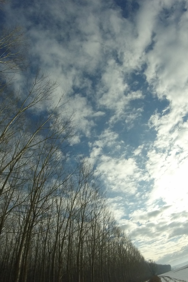 Облака в весеннем небе