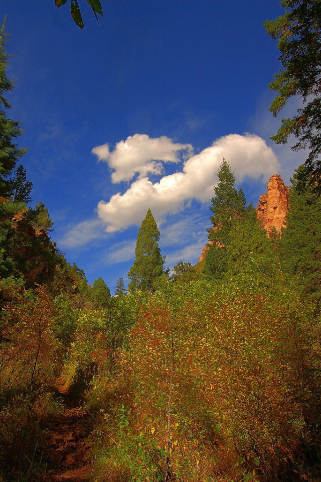 Кусок синего неба