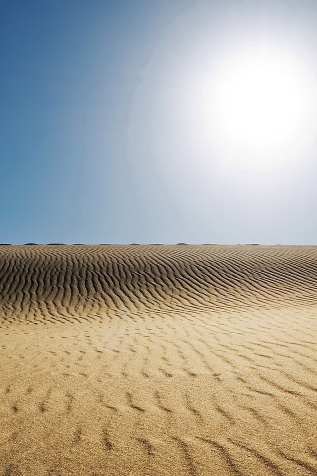 Бескрайняя мертвая пустыня