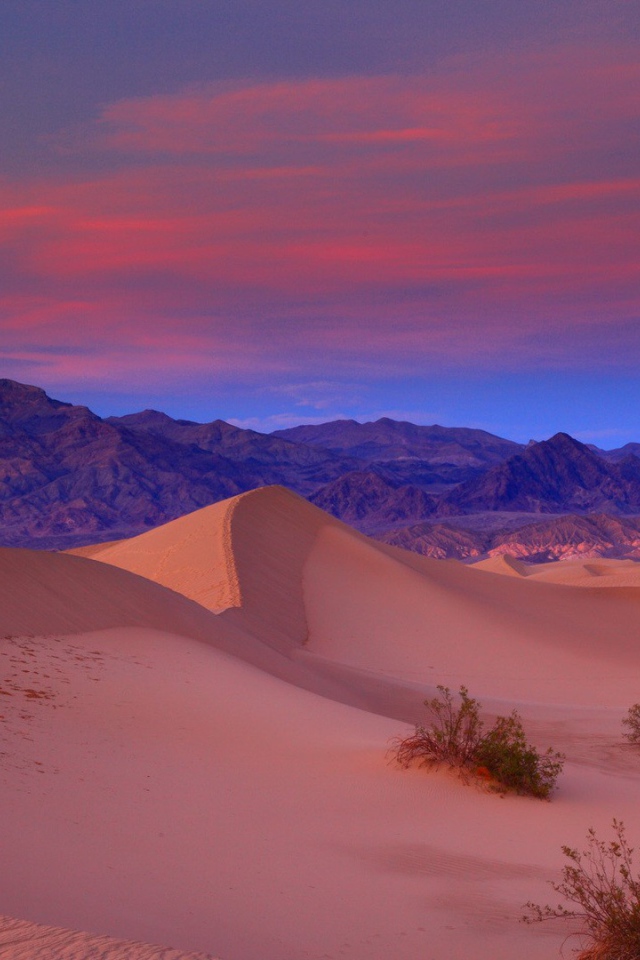 Пустыня розового цвета