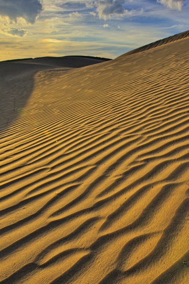 Бескрайние песчаные барханы