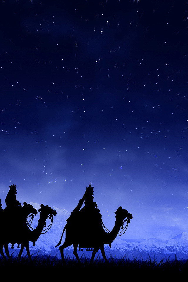 Наездники на верблюдах