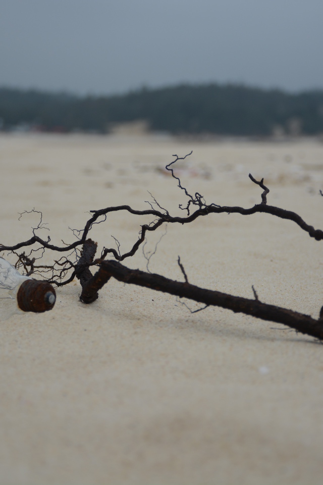 Черная ветка на белом песке