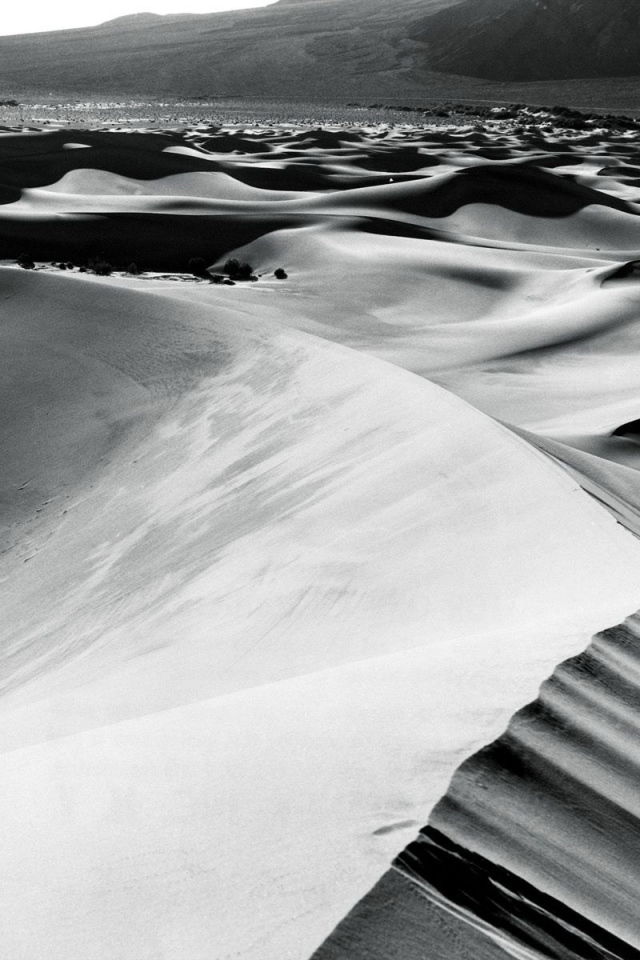 Барханы в пустыне