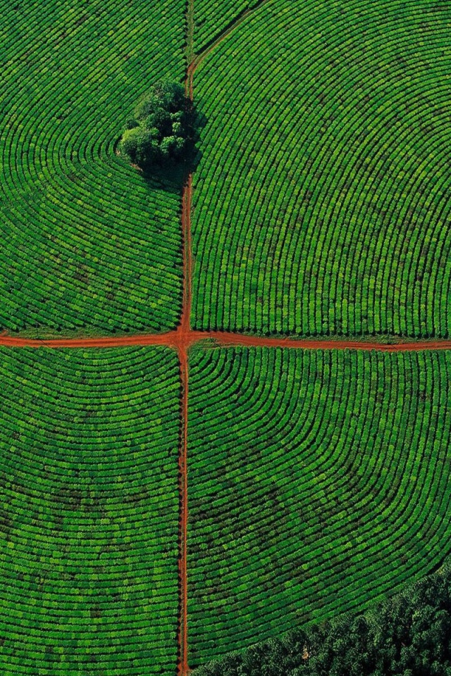 Красивое фото поля с высоты