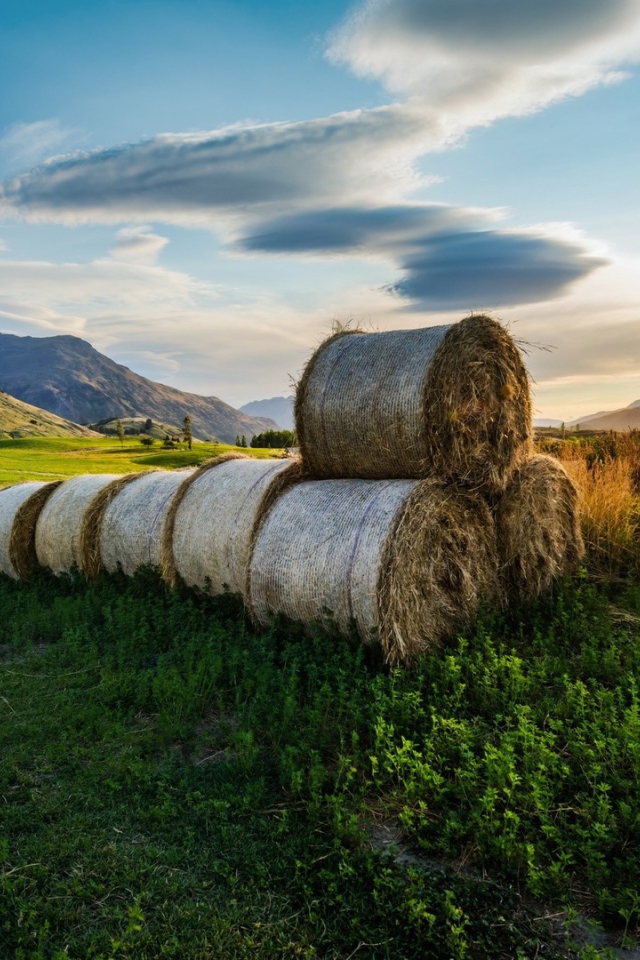 Тюки сена в поле, фото HDR