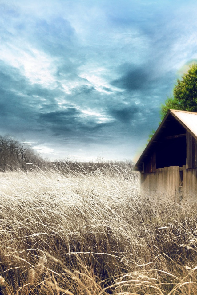 Сарай среди сухих зарослей