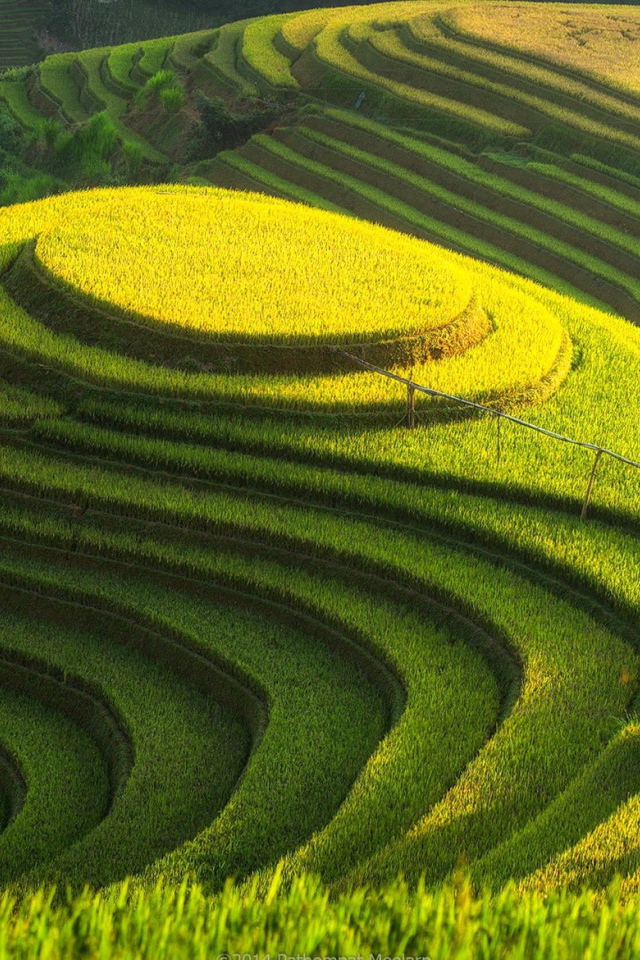 Возделанные поля на холме