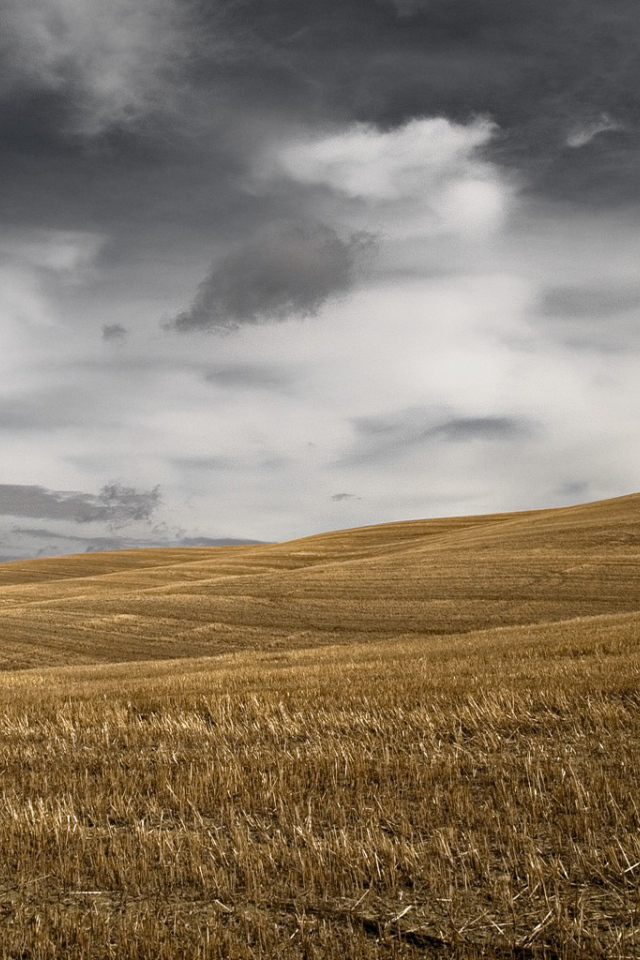 Темное небо над скошенным полем