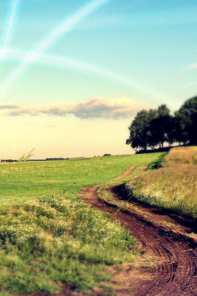 Грунтовая дорога через поле