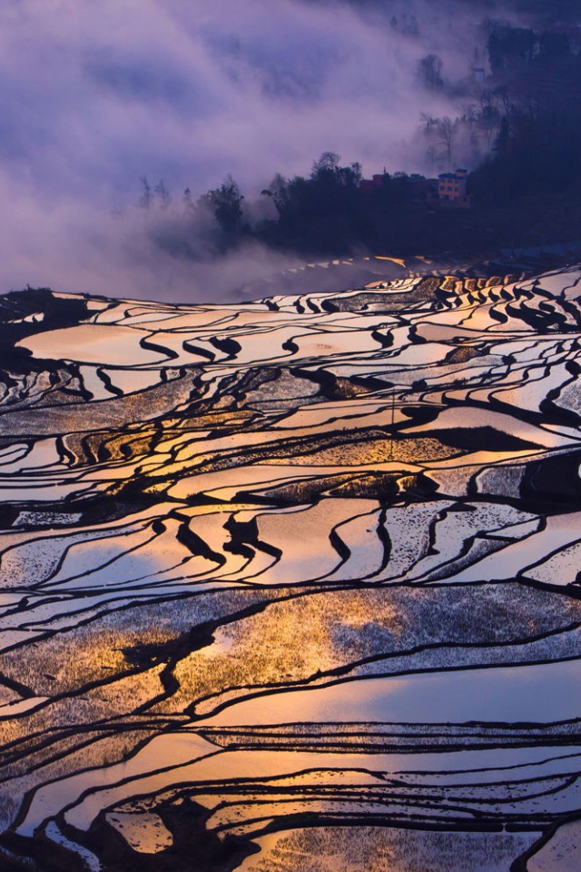 Залитые водой рисовые поля