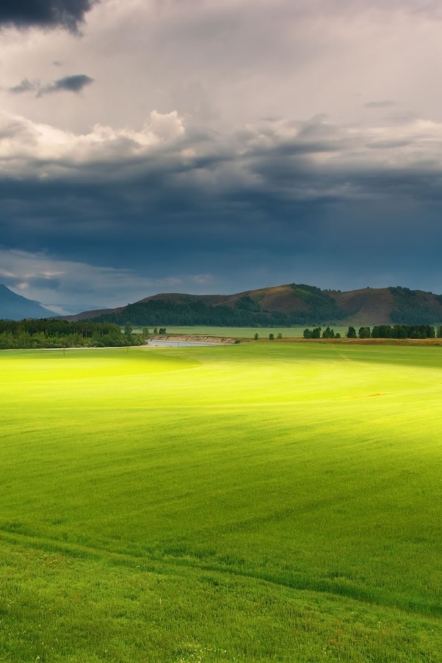 Полет над зеленой равниной