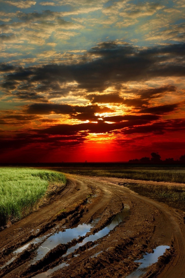 Размытая грунтовая дорога на краю поля