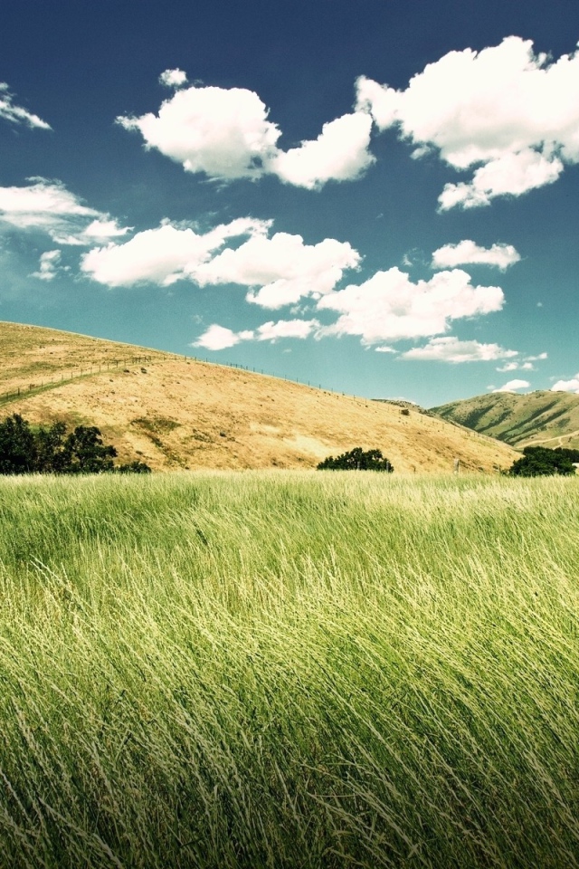 Зеленое поле между холмов