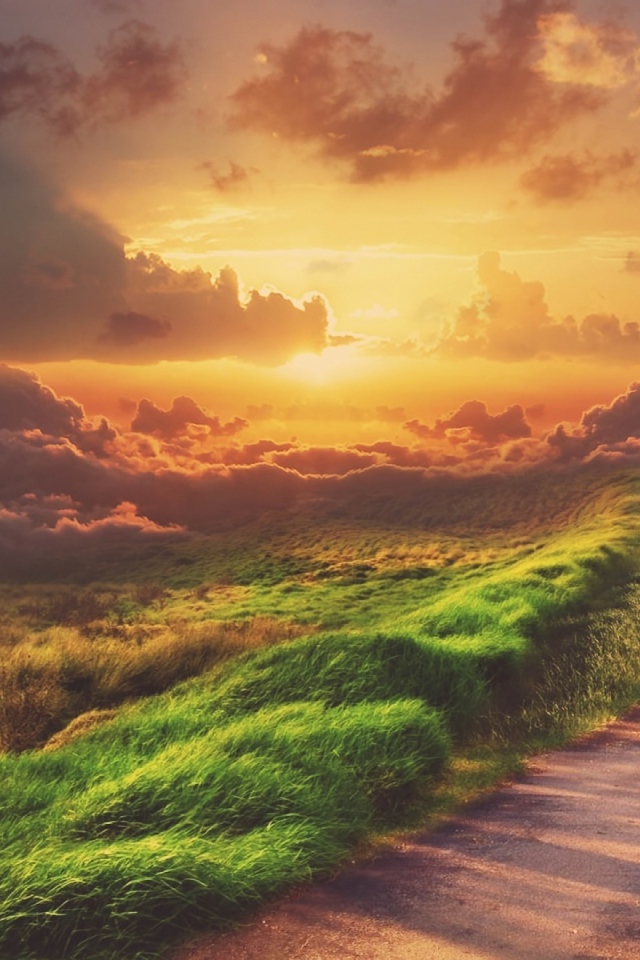 Зеленая трава у обочины дороги на закате