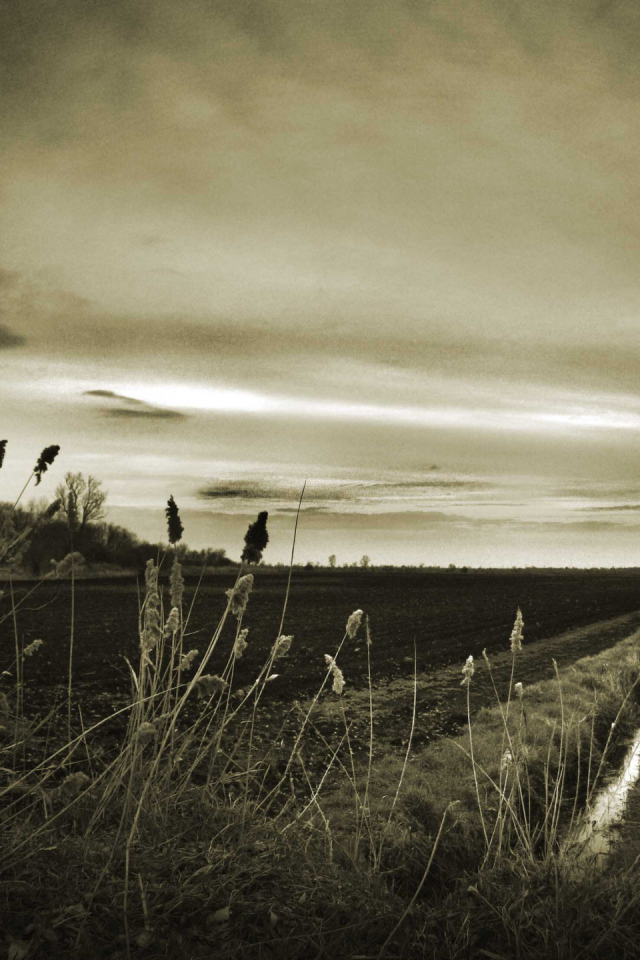 Оросительный канал