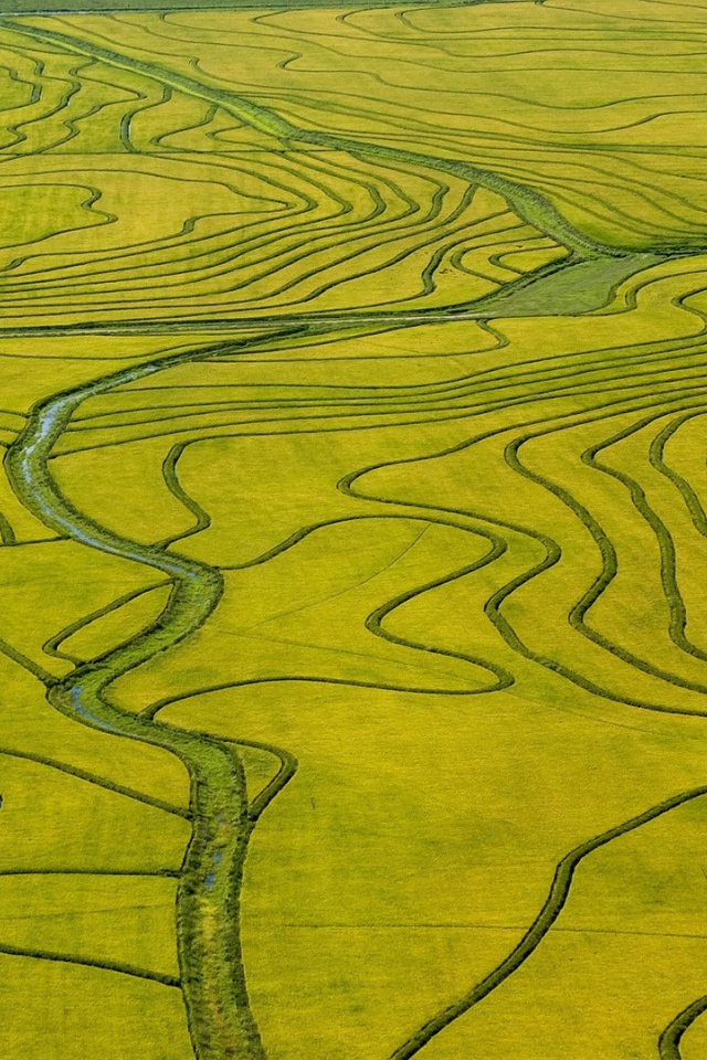 Оросительные каналы на поле необычной формы