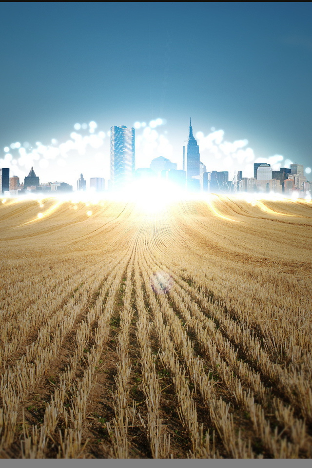 Мираж над полем