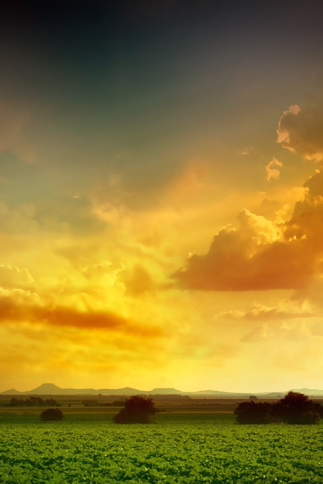 Оранжевое небо над зеленым полем