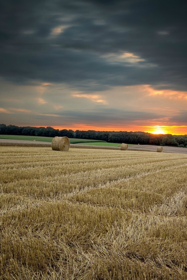 Убранное поле с сеном