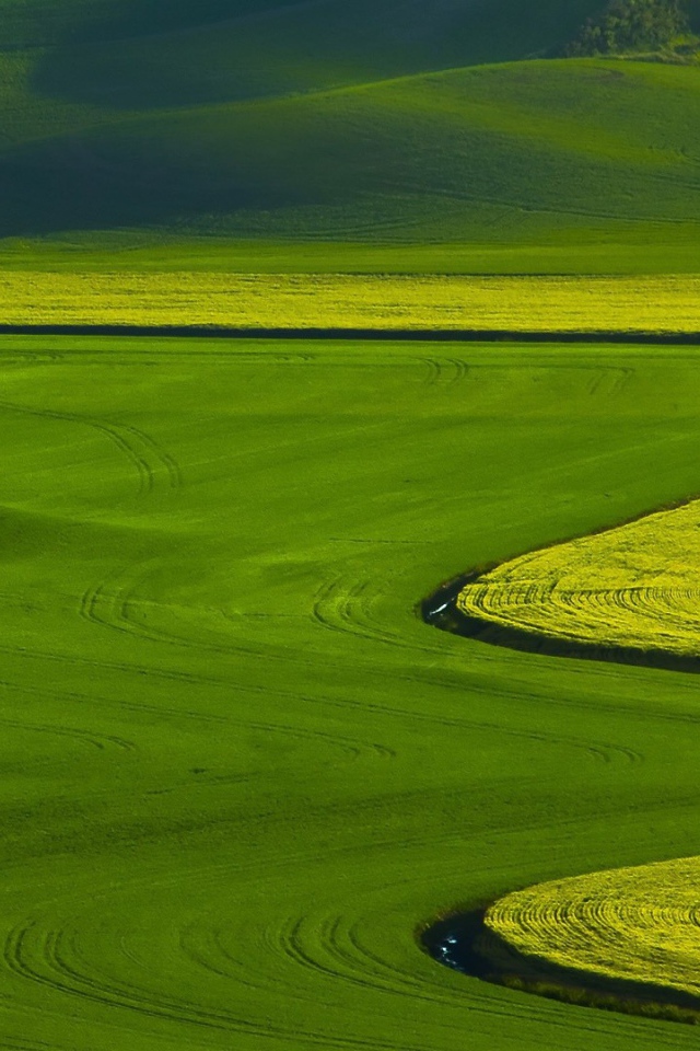 Оттенки зелени на полях
