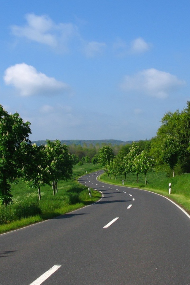 Ровная дорога среди полей в Украине