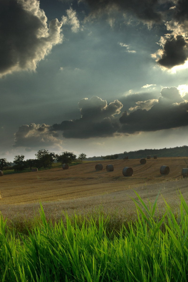 Грозовые тучи над полем