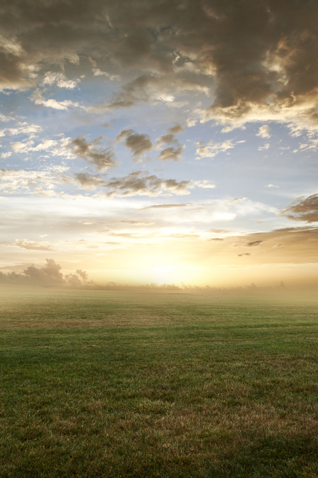 Восход солнца над полем в тумане